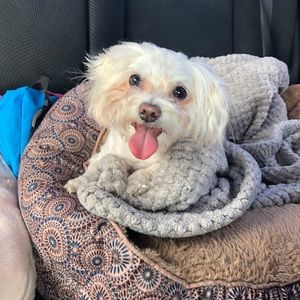 Hi welcome to my closet! ❤️❤️ Happy poshing!!!